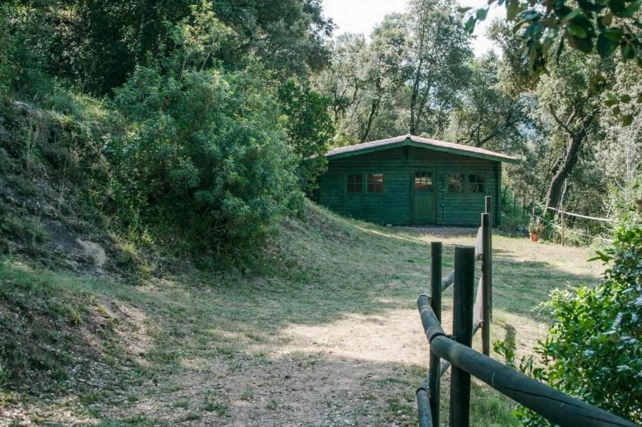 Masia Can Jou サン・ジャウマ・デ・リィエルカ エクステリア 写真